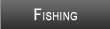 Possum Kingdom Lake Fishing